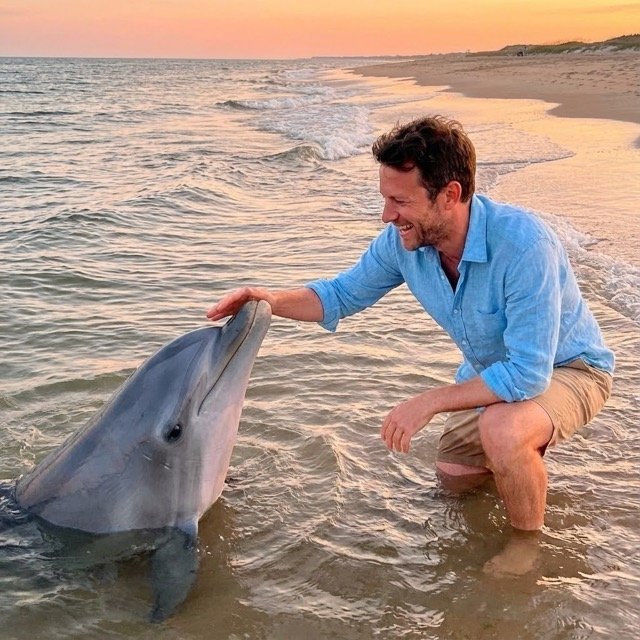 Person kneeling at shore touching a dolphin (#nb_129)